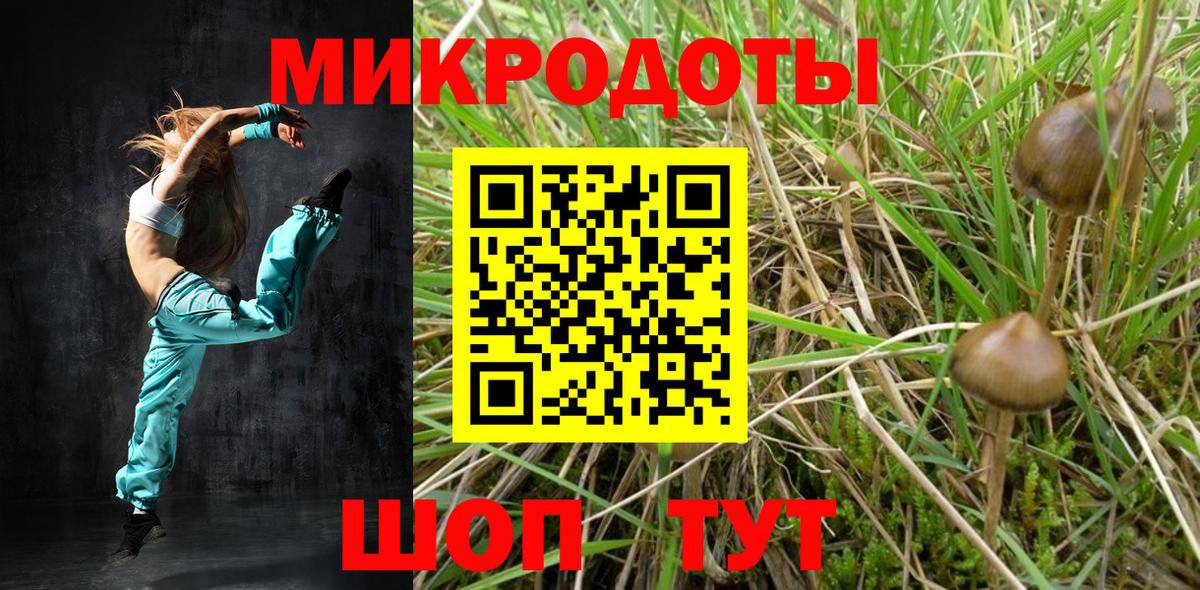 Галлюциногенные грибы Psilocybine cubensis  Галлюциногенные грибы прущие грибы  Сертолово  Вход с VPN 